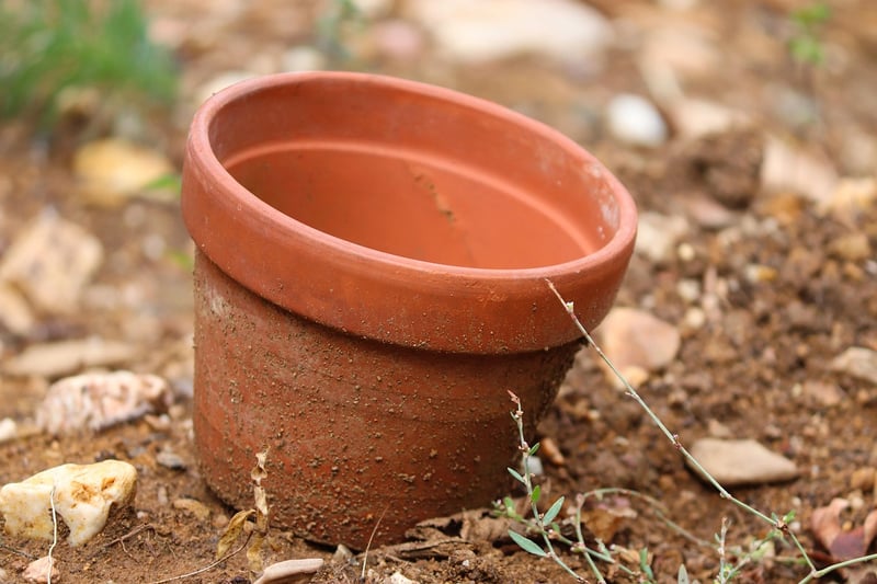 Terracotta Wall Pots