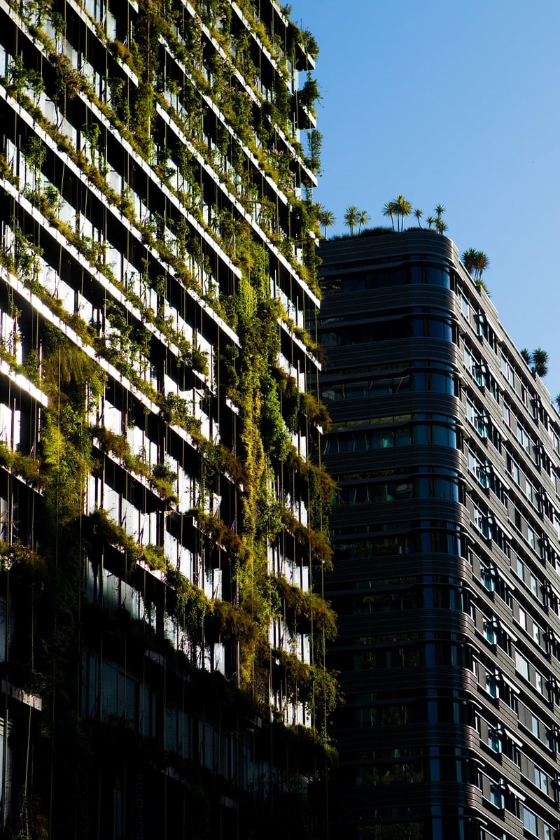 Pruning and Trimming